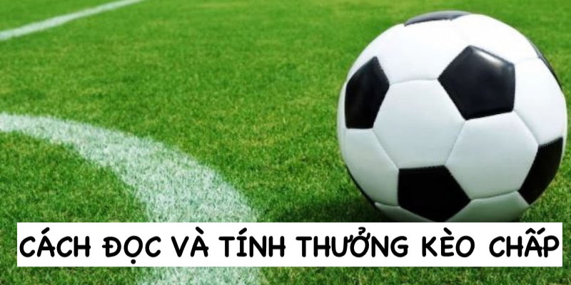 Giải đáp cách đọc và tính thưởng kèo chấp là gì cho thành viên